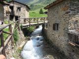 IMG_0042.jpg
