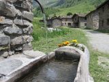 IMG_0049.jpg