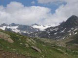 IMG_0064.jpg