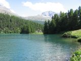 IMG_0094.jpg