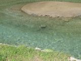 IMG_4806.jpg