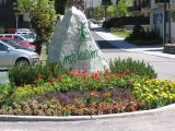 IMG_4808.jpg