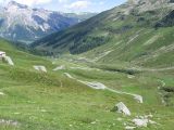 IMG_4817.jpg