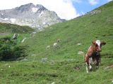 IMG_4825.jpg