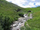 IMG_4834.jpg