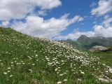 IMG_4839.jpg