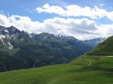 IMG_4845.jpg