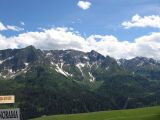 IMG_4846.jpg