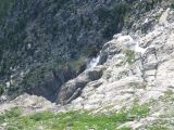 IMG_4874.jpg