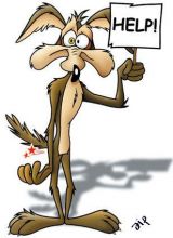 willy_coyote.jpg