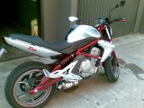 19042008(002)_[Risoluzione_del_desktop].jpg