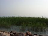 SN850059.JPG