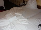 SN850104.JPG