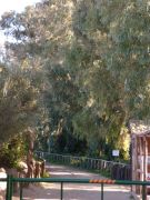 DSCN0153.jpg