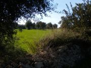 DSCN0155.jpg