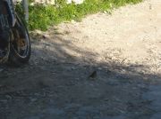 DSCN0157.jpg