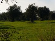 DSCN0161.jpg