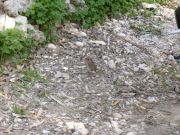 DSCN0162.jpg
