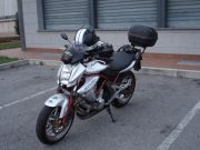 DSC05545.JPG