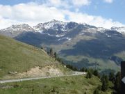 DSC05557.JPG
