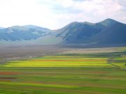 IMG_4098.jpg