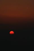 IMG_4593.JPG