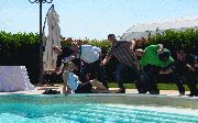 pieghe_fiorentine.gif