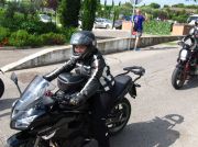 IMG_5614_-_Raffaella_Samuraidam.JPG