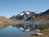 Gavia_spettacolare.jpg
