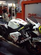 IMGP1650.JPG
