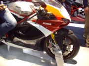 IMGP1651.JPG
