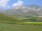castelluccio7.jpg