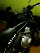 SP_A0183.jpg