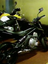 SP_A0190.jpg