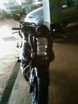 SP_A0309.jpg