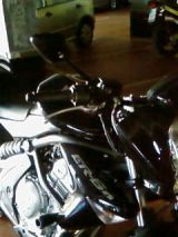 SP_A0310.jpg