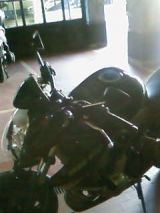 SP_A0311.jpg