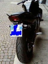 posteriore_Fujko.jpg