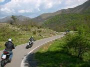 img_2379.jpg