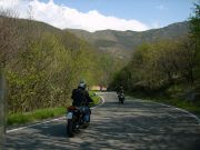 img_2383.jpg
