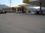 DSC03597~0.JPG