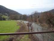 DSC03598~0.JPG