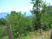 DSCN2189.JPG