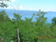 DSCN2190.JPG