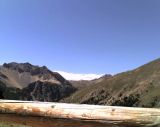 09-08-08_1356.jpg