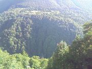 200906131808_076.jpg