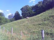 200906131826_085.jpg