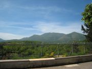 IMG_5776.jpg