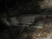 IMG_5789.jpg