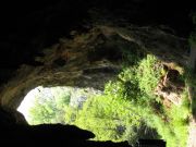 IMG_5805.jpg